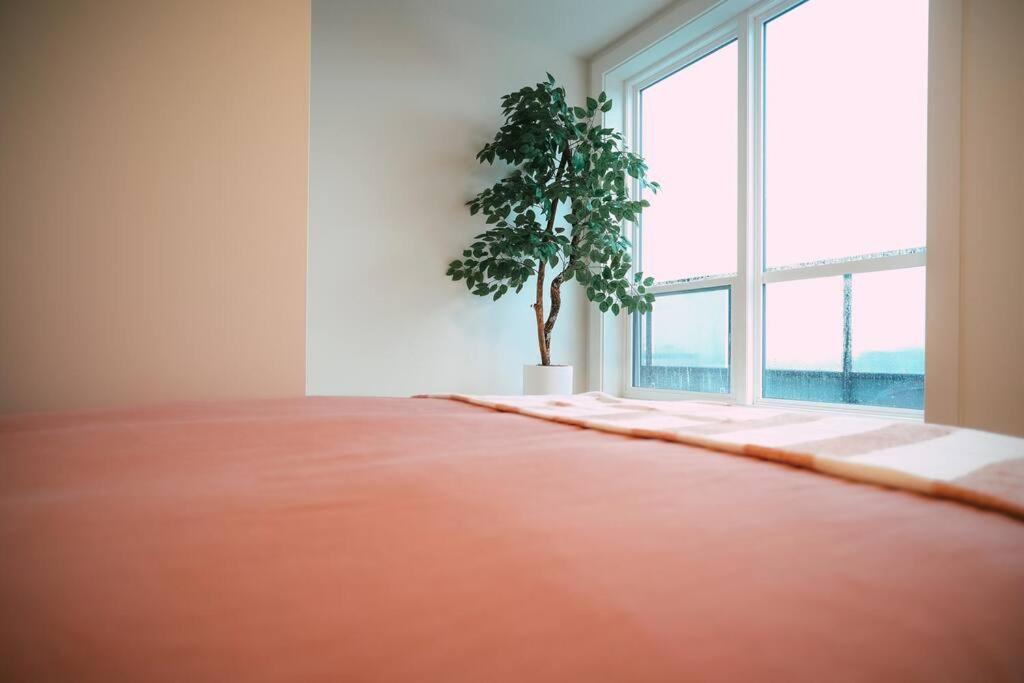 ハリファックスChic Cozy Retreat - 2Br - Stunning North End Viewsアパートメント エクステリア 写真